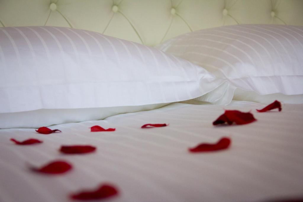 Guest House Sterk Nova Gorica Pokój zdjęcie