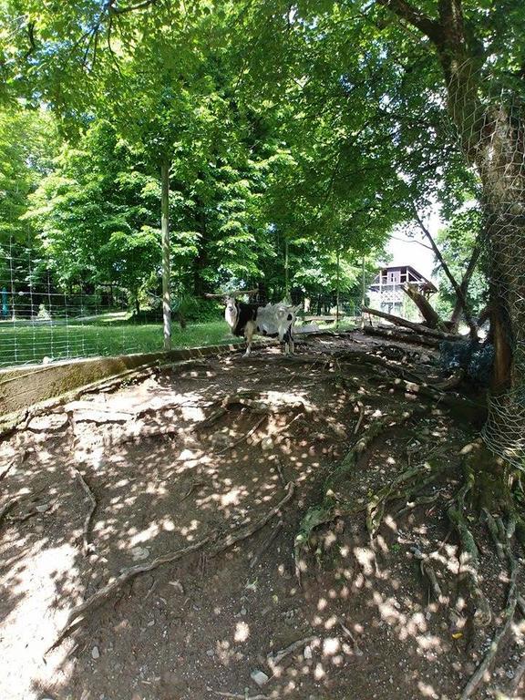 Guest House Sterk Nova Gorica Zewnętrze zdjęcie